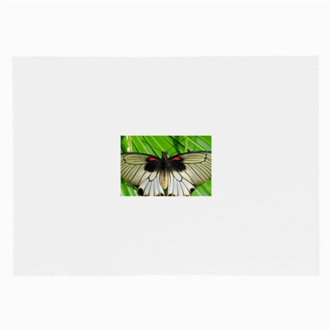 butterfly Glasses Cloth (Large, Two Sides) from ArtsNow.com Front