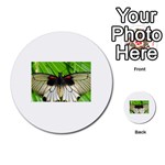 butterfly Multi-purpose Cards (Round)