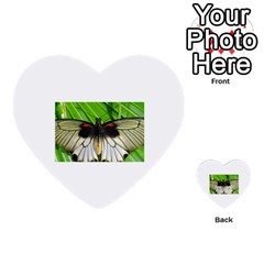 butterfly Multi Front 1