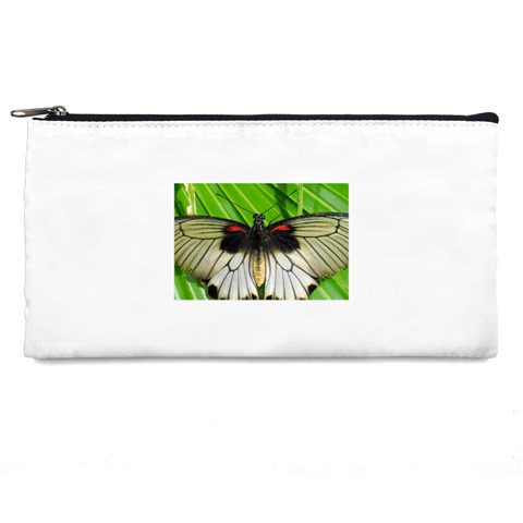 butterfly Pencil Case from ArtsNow.com Front