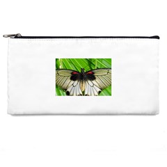 butterfly Pencil Case from ArtsNow.com Front