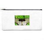 butterfly Pencil Case