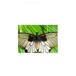 butterfly Memory Card Reader (Rectangular)