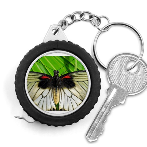 butterfly Measuring Tape from ArtsNow.com Front