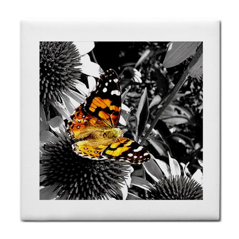 butterfly Tile Coaster from ArtsNow.com Front