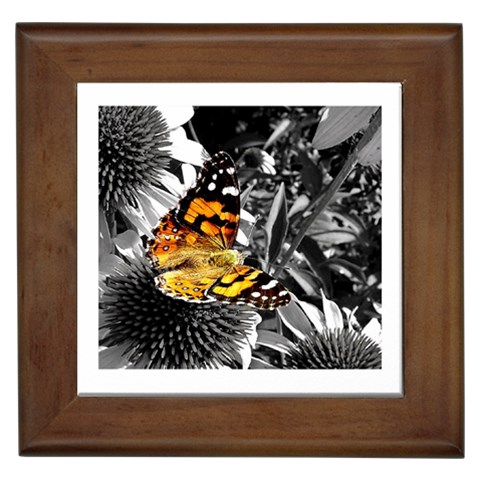 butterfly Framed Tile from ArtsNow.com Front