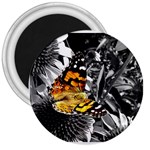butterfly 3  Magnet