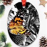 butterfly Ornament (Oval)