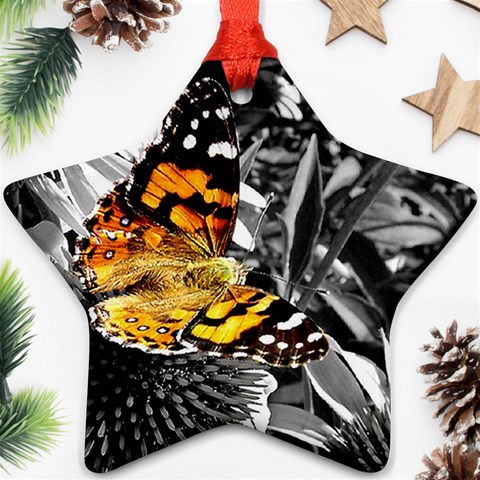butterfly Ornament (Star) from ArtsNow.com Front