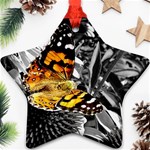 butterfly Ornament (Star)