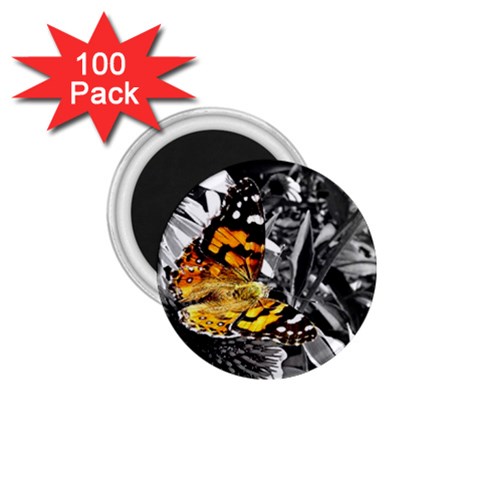 butterfly 1.75  Magnet (100 pack)  from ArtsNow.com Front