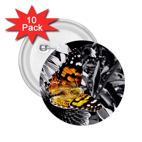 butterfly 2.25  Button (10 pack) from ArtsNow.com Front