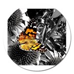 butterfly Magnet 5  (Round)