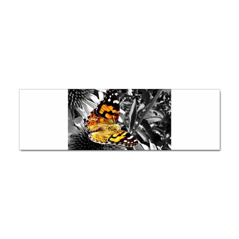 butterfly Sticker Bumper (100 pack) from ArtsNow.com Front