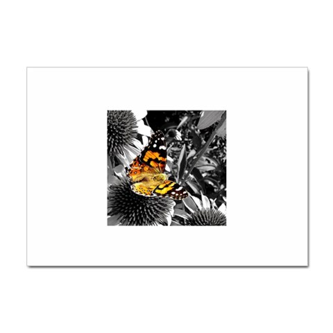 butterfly Sticker A4 (10 pack) from ArtsNow.com Front