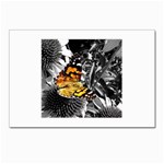 butterfly Postcard 4  x 6 