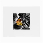 butterfly Glasses Cloth (Small, Two Sides)