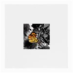 butterfly Glasses Cloth (Medium, Two Sides)