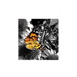 butterfly Memory Card Reader (Rectangular)