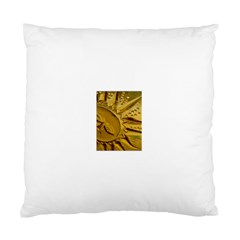 sun Cushion Case (Two Sides) from ArtsNow.com Front
