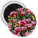 flowers 3  Magnet