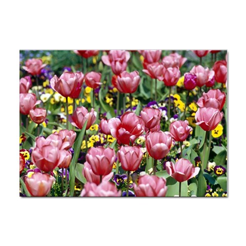 flowers Sticker A4 (10 pack) from ArtsNow.com Front