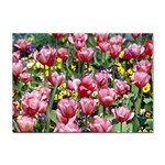 flowers Sticker A4 (100 pack)