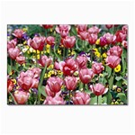 flowers Postcard 4  x 6 