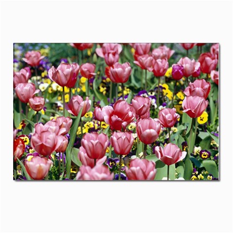 flowers Postcards 5  x 7  (Pkg of 10) from ArtsNow.com Front