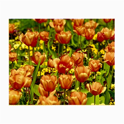 flowers Glasses Cloth (Small) from ArtsNow.com Front