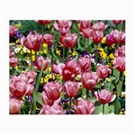 flowers Glasses Cloth (Small, Two Sides)