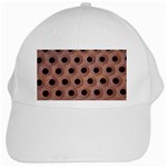 bee hives White Cap