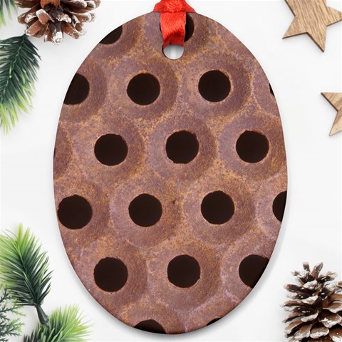 bee hives Ornament (Oval) from ArtsNow.com Front