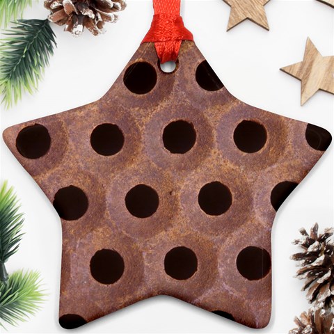 bee hives Ornament (Star) from ArtsNow.com Front