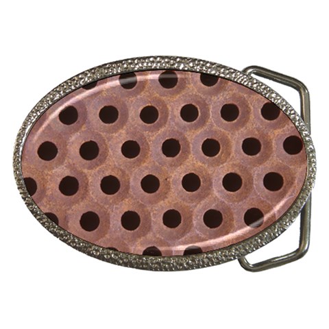 bee hives Belt Buckle from ArtsNow.com Front