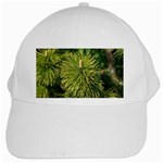 leaf White Cap