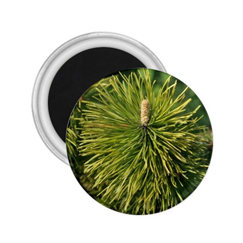 leaf 2.25  Magnet from ArtsNow.com Front