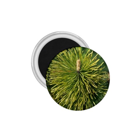 leaf 1.75  Magnet from ArtsNow.com Front