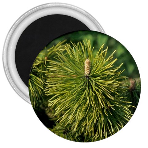 leaf 3  Magnet from ArtsNow.com Front