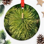 leaf Ornament (Round)