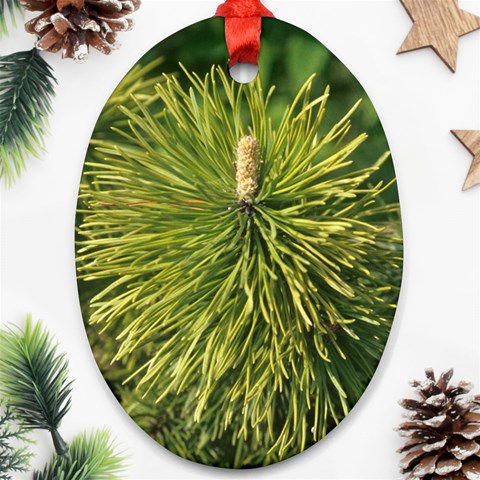 leaf Ornament (Oval) from ArtsNow.com Front