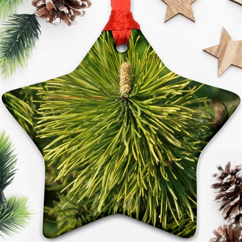 leaf Ornament (Star) from ArtsNow.com Front