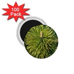 leaf 1.75  Magnet (100 pack) 
