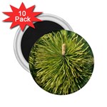 leaf 2.25  Magnet (10 pack)