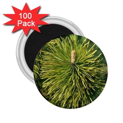 leaf 2.25  Magnet (100 pack)  from ArtsNow.com Front