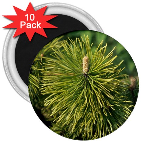 leaf 3  Magnet (10 pack) from ArtsNow.com Front
