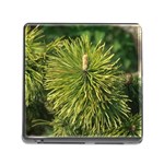 leaf Memory Card Reader (Square)