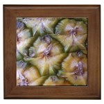 pineapple Framed Tile