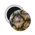 pineapple 2.25  Magnet