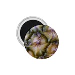pineapple 1.75  Magnet